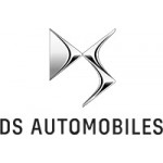 DS Diamond Car Mats Websites